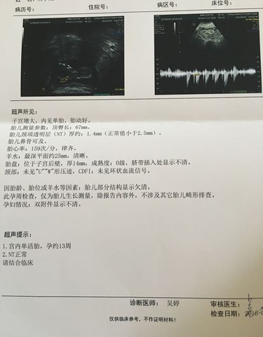 journal_insert_pic_468300117