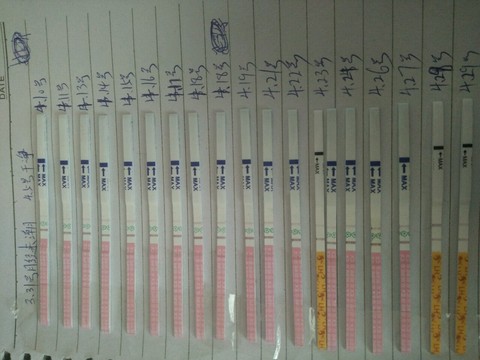 journal_insert_pic_469430943