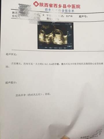 journal_insert_pic_470098376