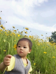 journal_insert_pic_470980256