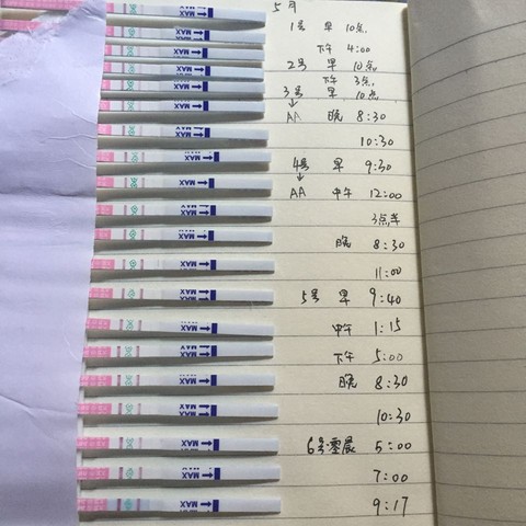 journal_insert_pic_470799913