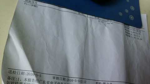 journal_insert_pic_472649094