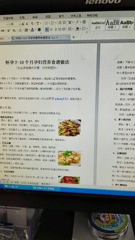 journal_insert_pic_473454062