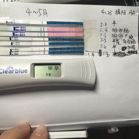 journal_insert_pic_473410428