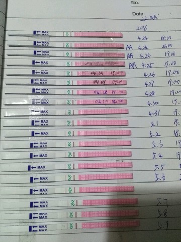 排卵试纸排卵后一直弱阳 颜色差不多 宝宝树