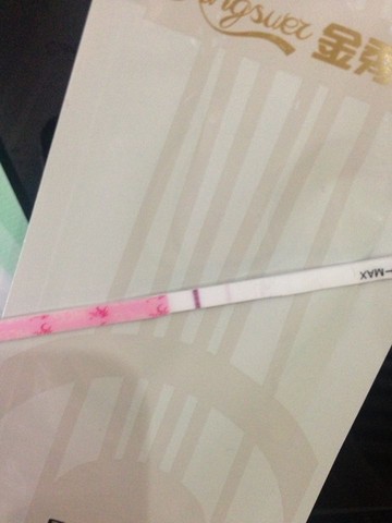 journal_insert_pic_474704399