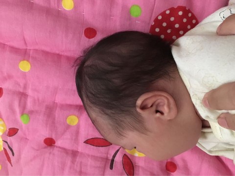 journal_insert_pic_474763939