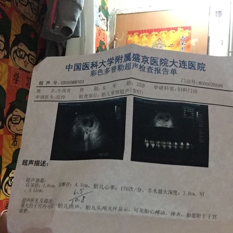 journal_insert_pic_476621407