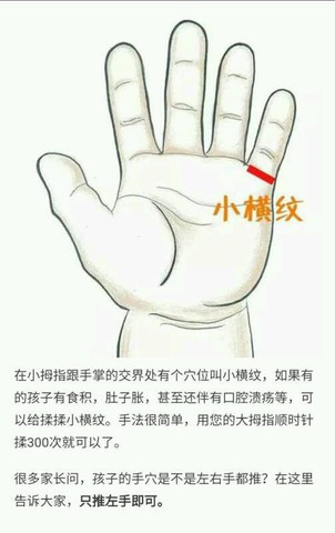 journal_insert_pic_476160394