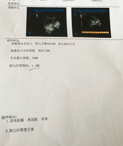 journal_insert_pic_477629354