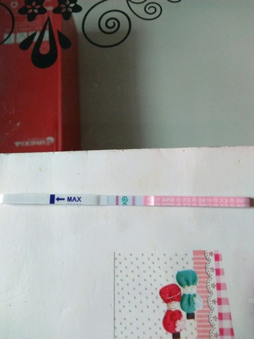 journal_insert_pic_477429715