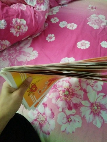 journal_insert_pic_479118624
