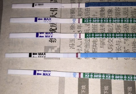 journal_insert_pic_480391067