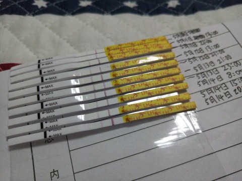 journal_insert_pic_479832436