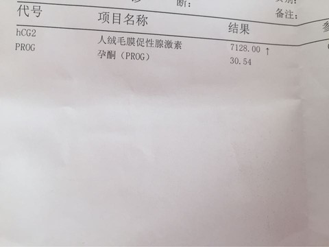 journal_insert_pic_480928228