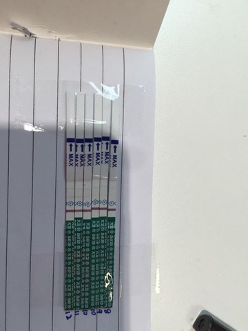 journal_insert_pic_481650292