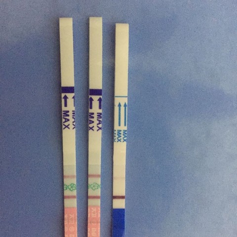 journal_insert_pic_482143818