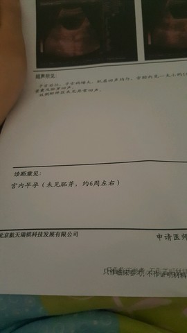 journal_insert_pic_483677309