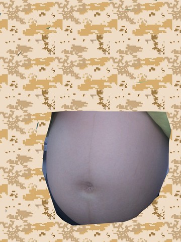 journal_insert_pic_484698881
