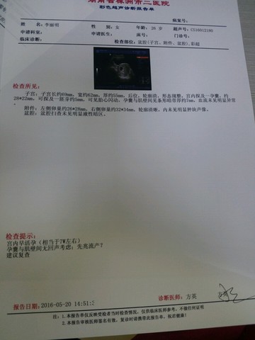 journal_insert_pic_484722166