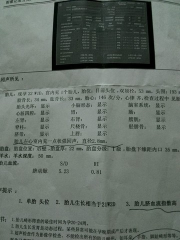 journal_insert_pic_486817278