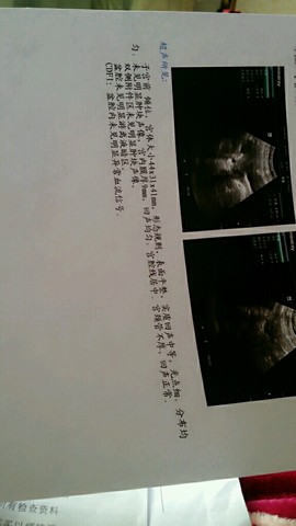 journal_insert_pic_486850525