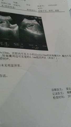 journal_insert_pic_487555065