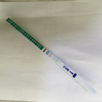 接好孕了,排卵期后14天测出怀孕今天又是一次试纸加深
