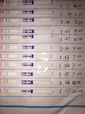 journal_insert_pic_490997538