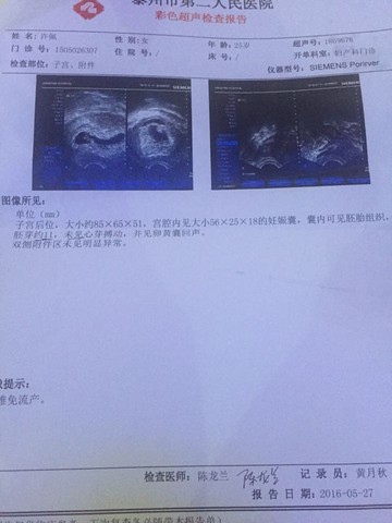 journal_insert_pic_490965522