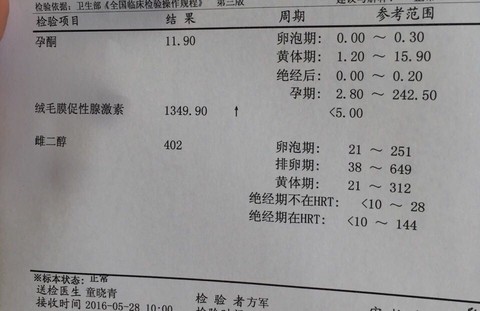 journal_insert_pic_491563575