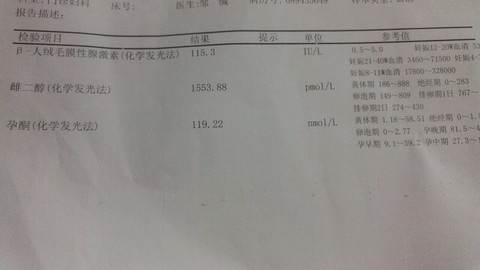 journal_insert_pic_492656290