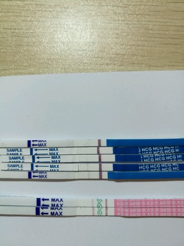 journal_insert_pic_495123109