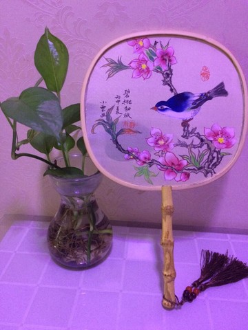 journal_insert_pic_494866206