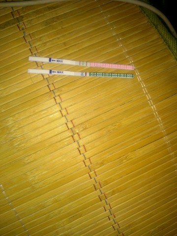 journal_insert_pic_494726998