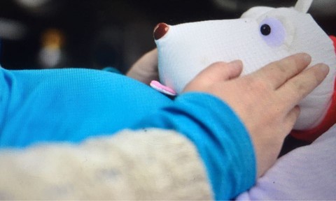 journal_insert_pic_496173291