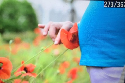 journal_insert_pic_496173262
