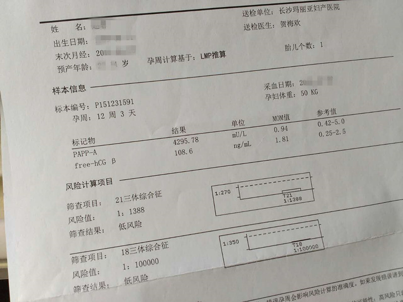 journal_insert_pic_495713547