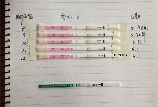 journal_insert_pic_496128447