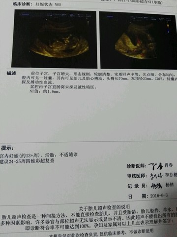 journal_insert_pic_497182483