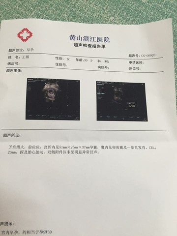 journal_insert_pic_498351385