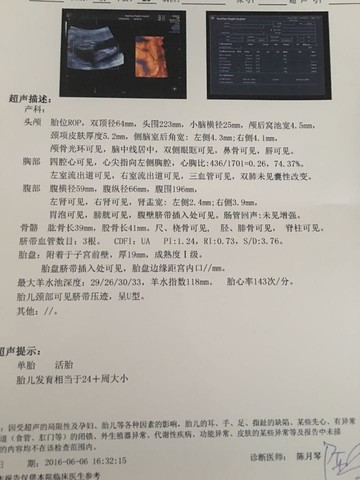 journal_insert_pic_499553938