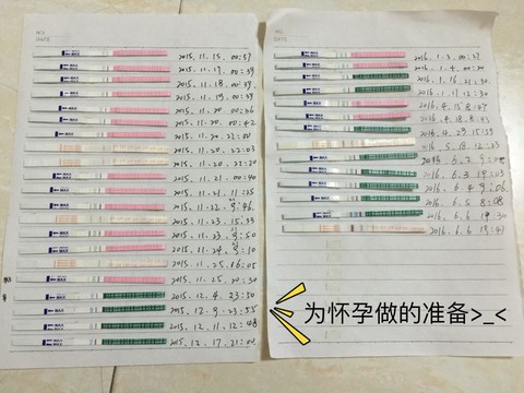 journal_insert_pic_500596752
