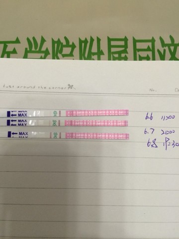 journal_insert_pic_501191684