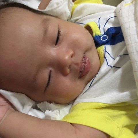 journal_insert_pic_501342123