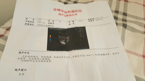 journal_insert_pic_502203444