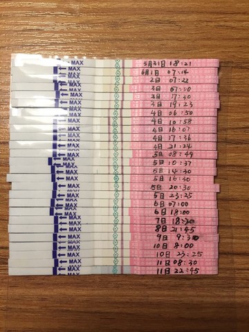 journal_insert_pic_503677459