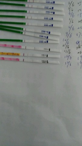 journal_insert_pic_504394626