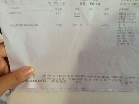 journal_insert_pic_505185697
