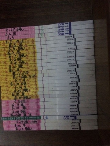 journal_insert_pic_506695212
